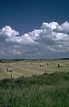 J0144390-100.jpg